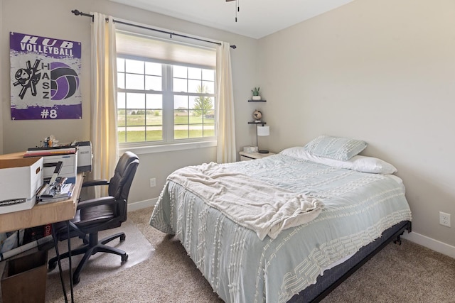 10499 E Shagbark Ln, Rochelle, IL 61068 - bedroom featuring carpet flooring, baseboards, and an office area