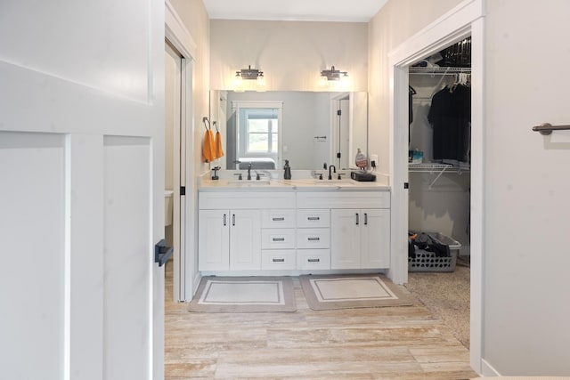 10499 E Shagbark Ln, Rochelle, IL 61068 - full bath featuring double vanity, a walk in closet, and wood finished floors