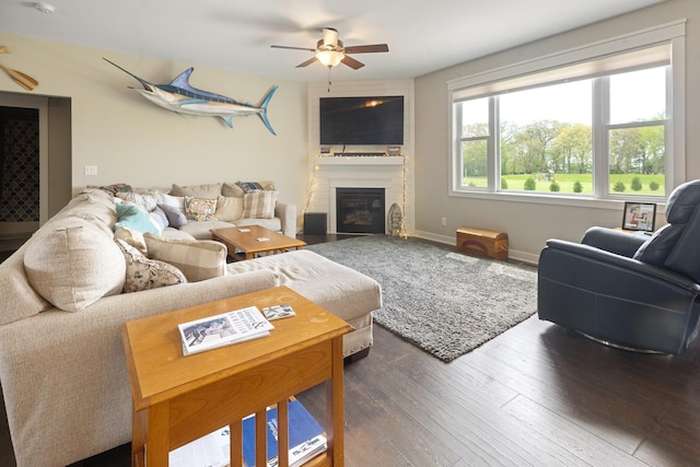 10499 E Shagbark Ln, Rochelle, IL 61068 - living area with a ceiling fan, wood-type flooring, a fireplace, and baseboards