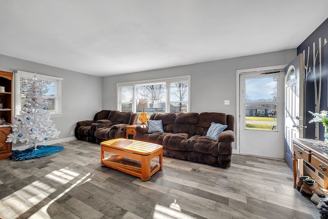 3019 Harris Dr, Joliet, IL 60431 - living room featuring plenty of natural light and light wood finished floors