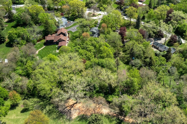 7N204 Eagle Ave, Medinah, IL 60157 - bird's eye view