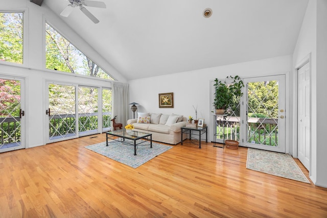 7N204 Eagle Ave, Medinah, IL 60157 - living room with high vaulted ceiling, wood finished floors, ceiling fan, and healthy amount of natural light