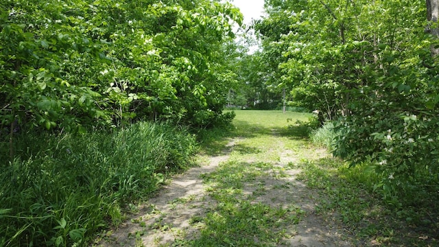 LOT2 Clay St, El Paso, IL 61738