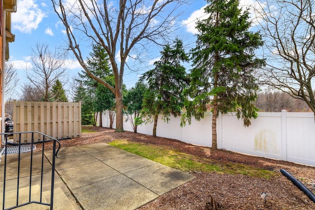 921 Winners Cup Ct, Naperville, IL 60565 - view of yard with a patio