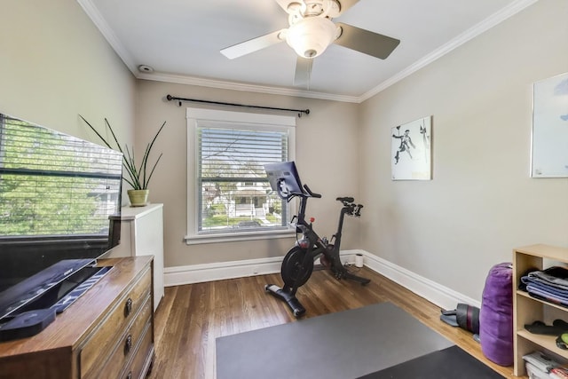 518 Clarence Ave, Oak Park, IL 60304 - workout area featuring dark wood-style flooring, baseboards, ornamental molding, and a ceiling fan