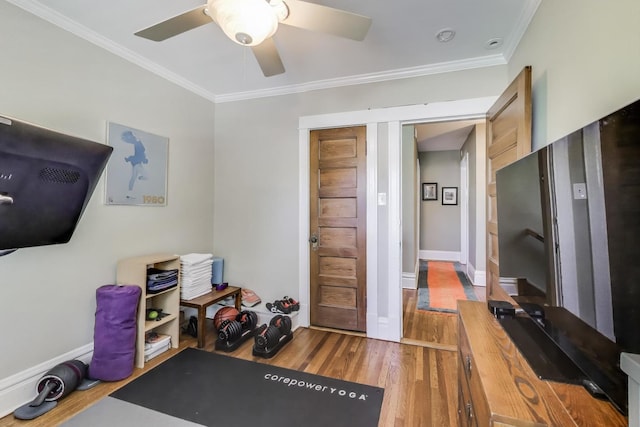 518 Clarence Ave, Oak Park, IL 60304 - exercise room featuring wood finished floors, crown molding, a ceiling fan, and baseboards
