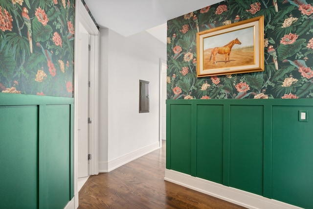3101 N Ridgeway Ave Unit 2C, Chicago, IL 60618 - hallway with wallpapered walls, wood finished floors, wainscoting, baseboards, and electric panel