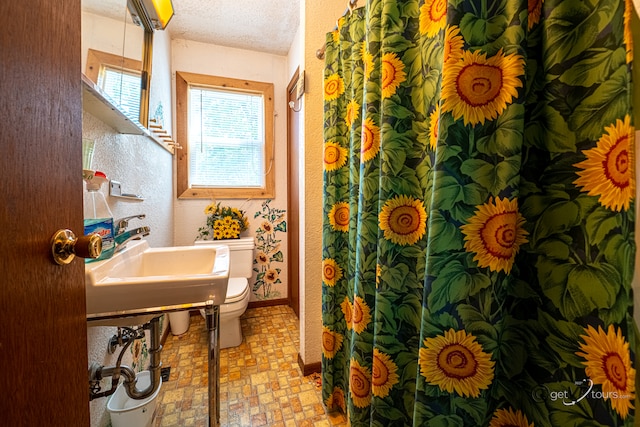 5567 N Mill Creek Rd, Scales Mound, IL 61075 - bathroom featuring toilet, a sink, a shower with curtain, and brick patterned flooring