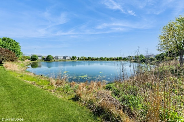 433 Minuet Cir, Volo, IL 60073 - water view