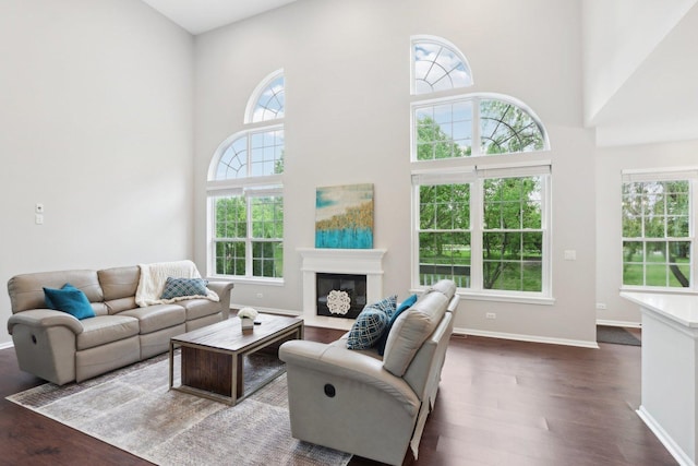 2913 Glenarye Dr, Lindenhurst, IL 60046 - living area with dark wood-style flooring, plenty of natural light, a high ceiling, baseboards, and a glass covered fireplace