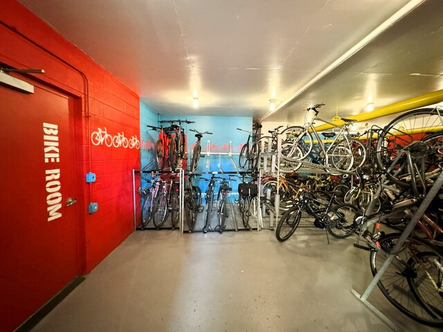 2605 S Indiana Ave Unit 501, Chicago, IL 60616 - garage with bike storage