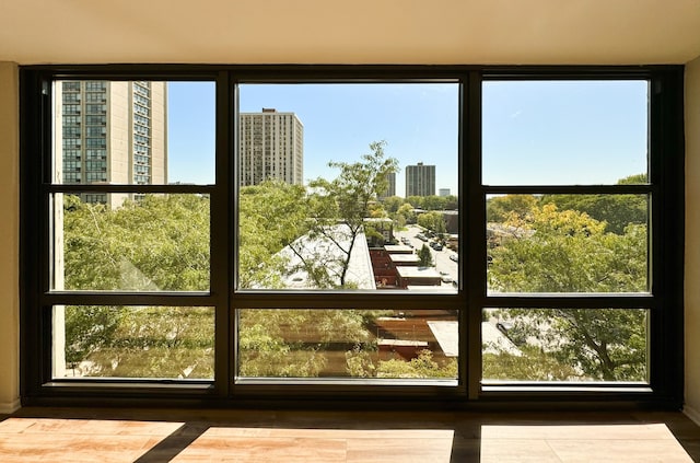 2605 S Indiana Ave Unit 501, Chicago, IL 60616 - doorway with a view of city