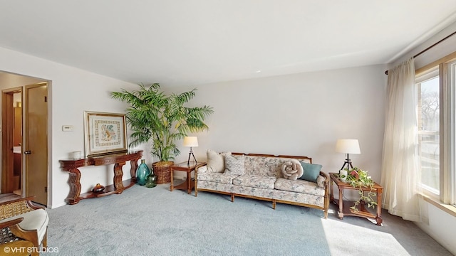 3434 Monroe St, Lansing, IL 60438 - sitting room with carpet flooring