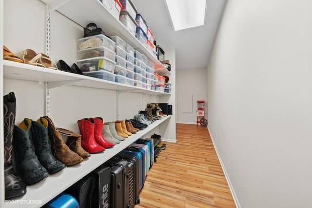 21827 W Riviera Ct, Ivanhoe, IL 60060 - view of storage