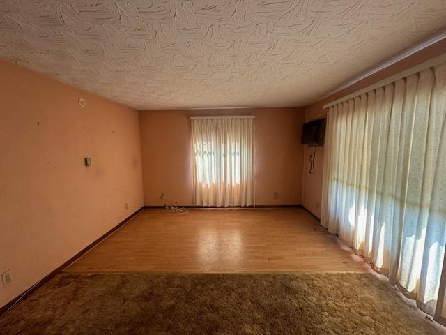 spare room featuring light colored carpet and a textured ceiling