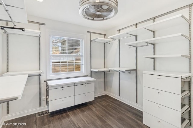 spacious closet with dark wood-style flooring