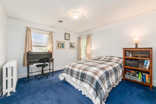 427 Leonard St, Park Ridge, IL 60068 - bedroom with radiator heating unit, carpet floors, multiple windows, and baseboards