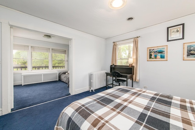 427 Leonard St, Park Ridge, IL 60068 - carpeted bedroom with radiator and radiator heating unit