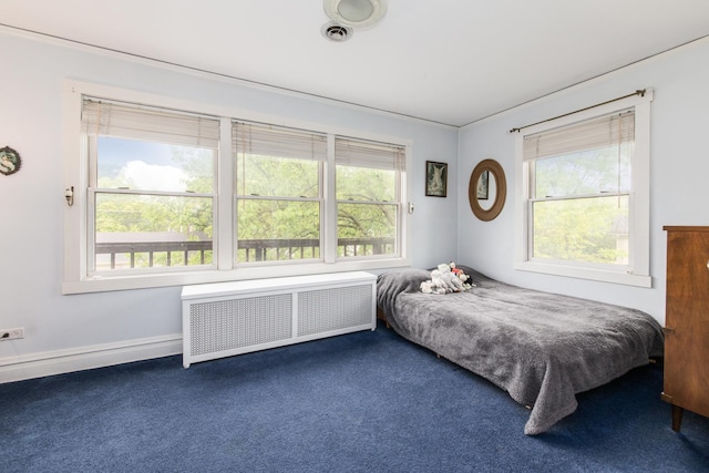 427 Leonard St, Park Ridge, IL 60068 - bedroom featuring radiator, multiple windows, and dark colored carpet