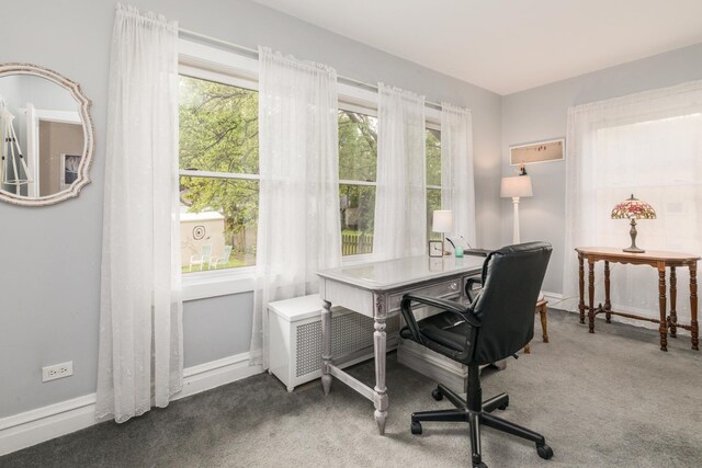 427 Leonard St, Park Ridge, IL 60068 - office area with carpet and baseboards