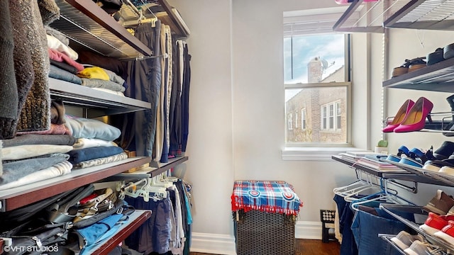 walk in closet featuring wood finished floors