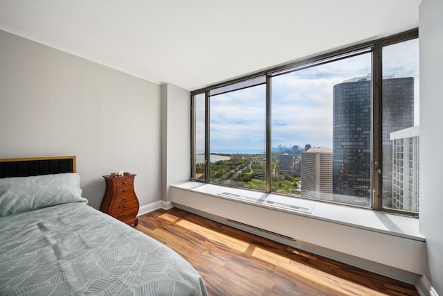 5455 N Sheridan Rd Unit 3804, Chicago, IL 60640 - bedroom featuring wood finished floors, multiple windows, baseboards, and a view of city