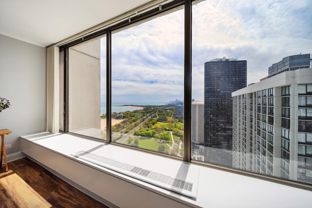 5455 N Sheridan Rd Unit 3804, Chicago, IL 60640 - unfurnished room with healthy amount of natural light, wood finished floors, a city view, and baseboards