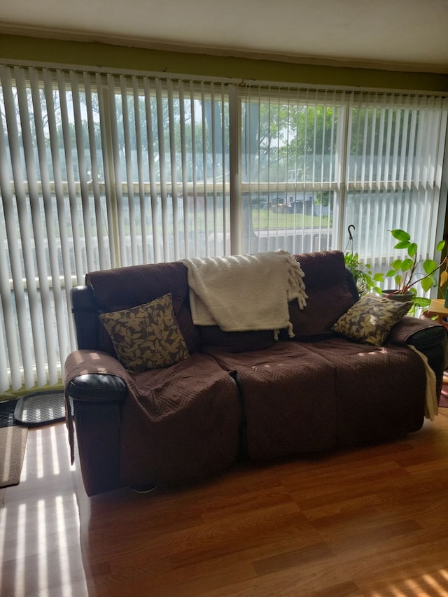 living area with crown molding and wood finished floors
