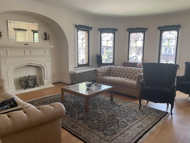 6108 N Maplewood Ave, Chicago, IL 60659 - living area with light wood-style flooring, radiator, and crown molding
