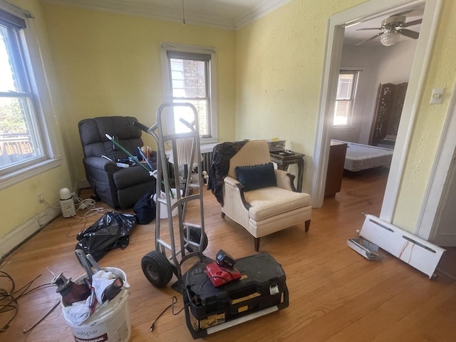 6108 N Maplewood Ave, Chicago, IL 60659 - living area with wood finished floors, ornamental molding, ceiling fan, and a textured wall