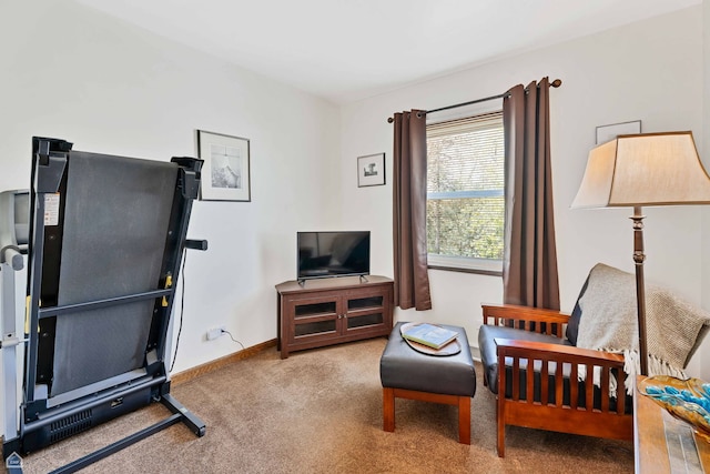sitting room with carpet and baseboards