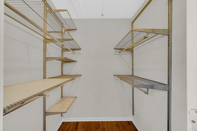 walk in closet featuring wood finished floors