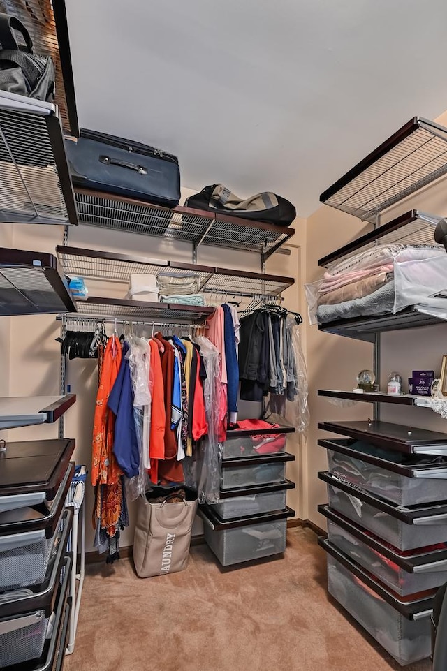 1050 W Buena Ave Unit 1A, Chicago, IL 60613 - walk in closet featuring carpet floors