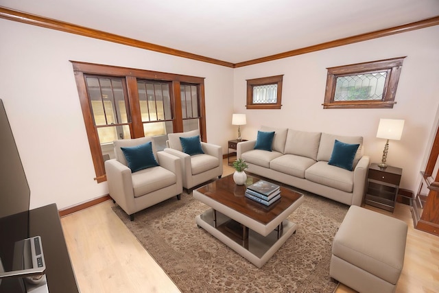 living area featuring wood finished floors, baseboards, and crown molding