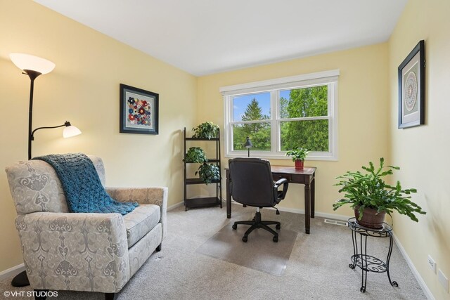 1099 Berkshire Ln, Barrington, IL 60010 - photo 24