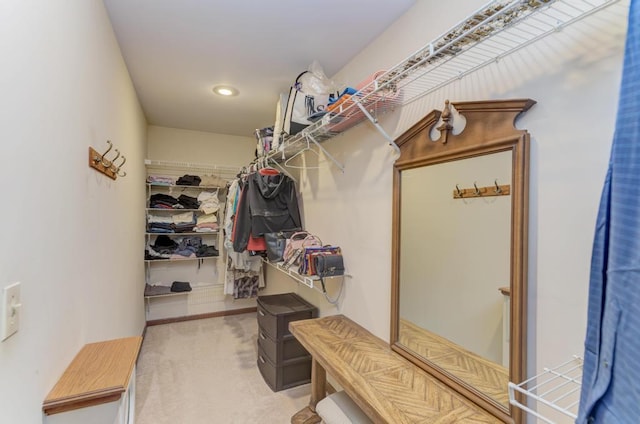 walk in closet featuring carpet floors