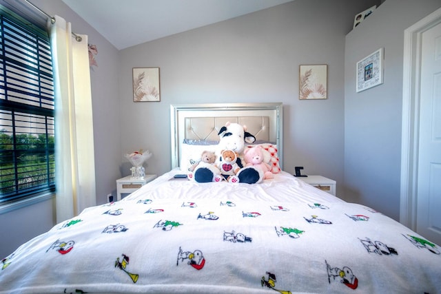 2650 Carlisle Ln, Hampshire, IL 60140 - bedroom featuring lofted ceiling