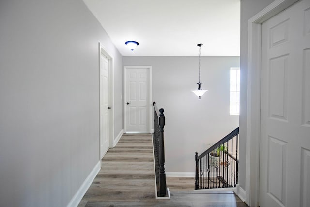 2650 Carlisle Ln, Hampshire, IL 60140 - stairs featuring baseboards and wood finished floors