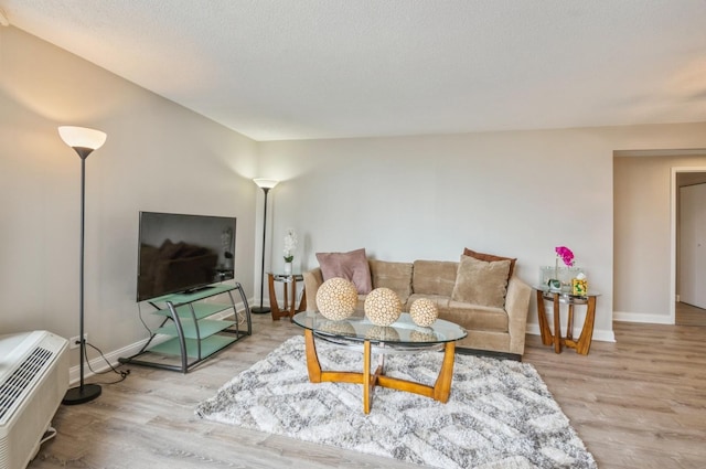 living area featuring wood finished floors, baseboards, and a textured ceiling