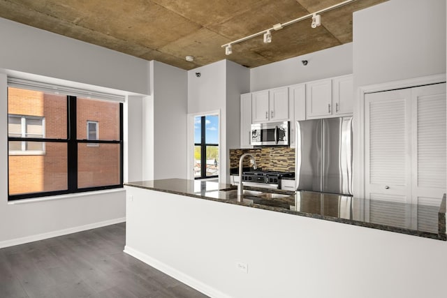 kitchen with appliances with stainless steel finishes, rail lighting, dark wood-type flooring, decorative backsplash, and dark stone countertops