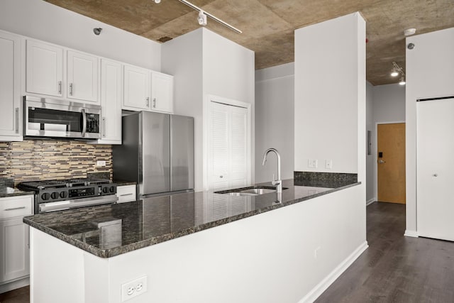 kitchen featuring appliances with stainless steel finishes, a sink, rail lighting, dark wood-style floors, and decorative backsplash