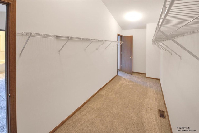 319 E Theodore Ln, Itasca, IL 60143 - walk in closet featuring light carpet