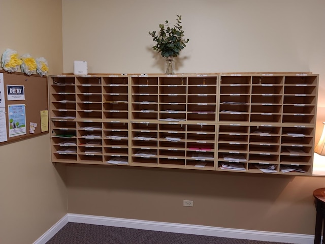 detailed view of baseboards and carpet floors