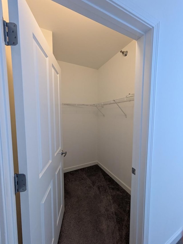 1250 S Michigan Ave Unit 1502, Chicago, IL 60605 - walk in closet featuring dark colored carpet