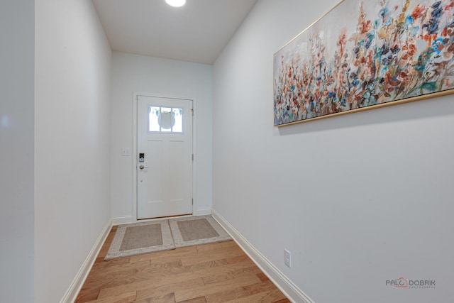 1027 Button Bush St, South Elgin, IL 60177 - doorway featuring wood finished floors and baseboards
