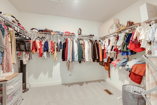 1027 Button Bush St, South Elgin, IL 60177 - walk in closet featuring carpet