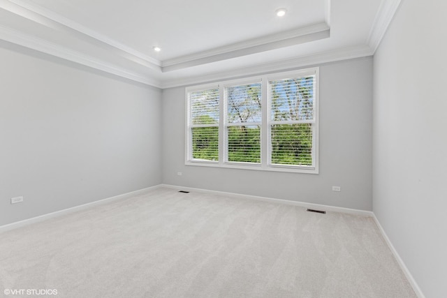2508 Weatherbee Ln, Naperville, IL 60563 - empty room featuring a tray ceiling, ornamental molding, light colored carpet, and baseboards