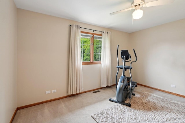 6815 169th St, Tinley Park, IL 60477 - photo 16
