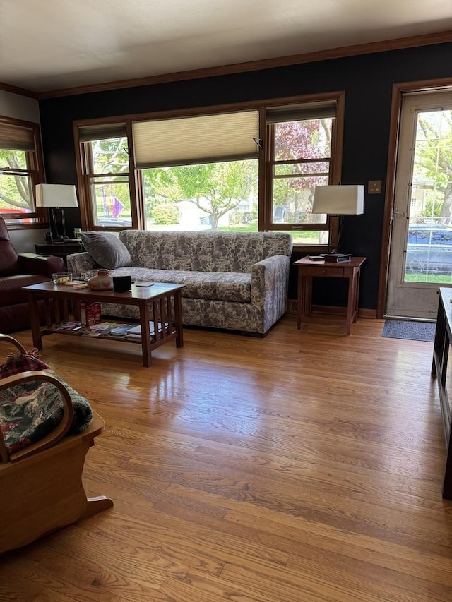 living area featuring ornamental molding and wood finished floors