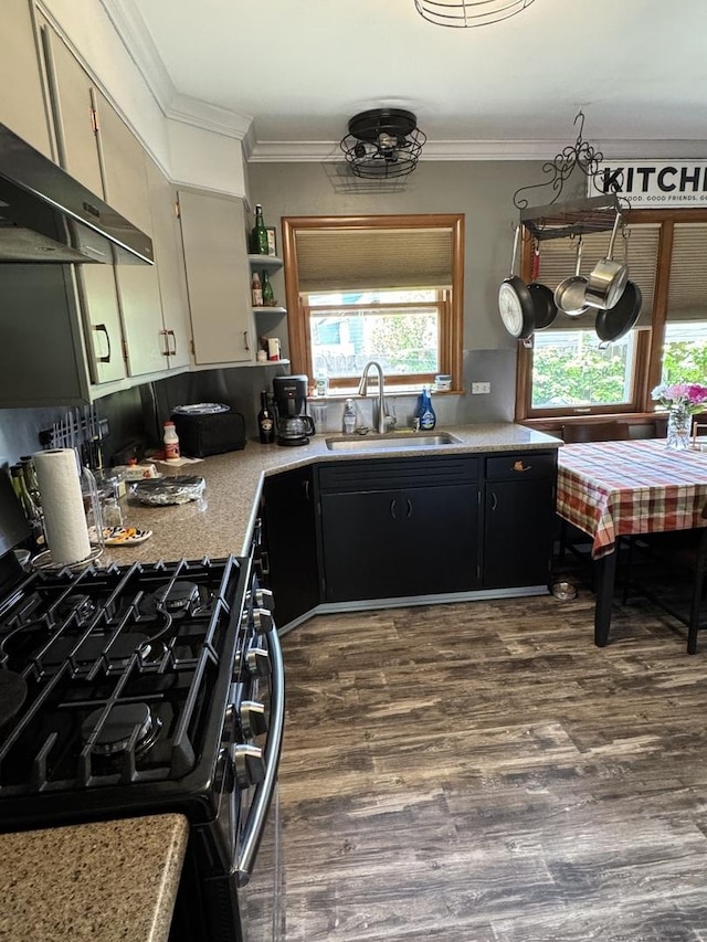kitchen with a sink, black range with gas stovetop, healthy amount of natural light, under cabinet range hood, and ornamental molding